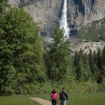 Yosemite Valley Walk ByTerri Metz