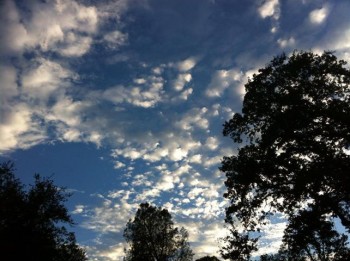 Blue skies in Tuolumne County, September 2, 2013.  