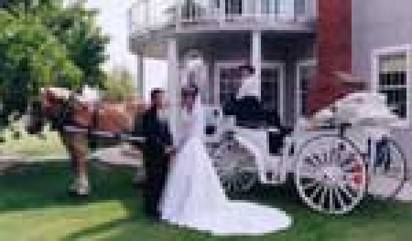 White Cinderella Carriages for weddings and special events